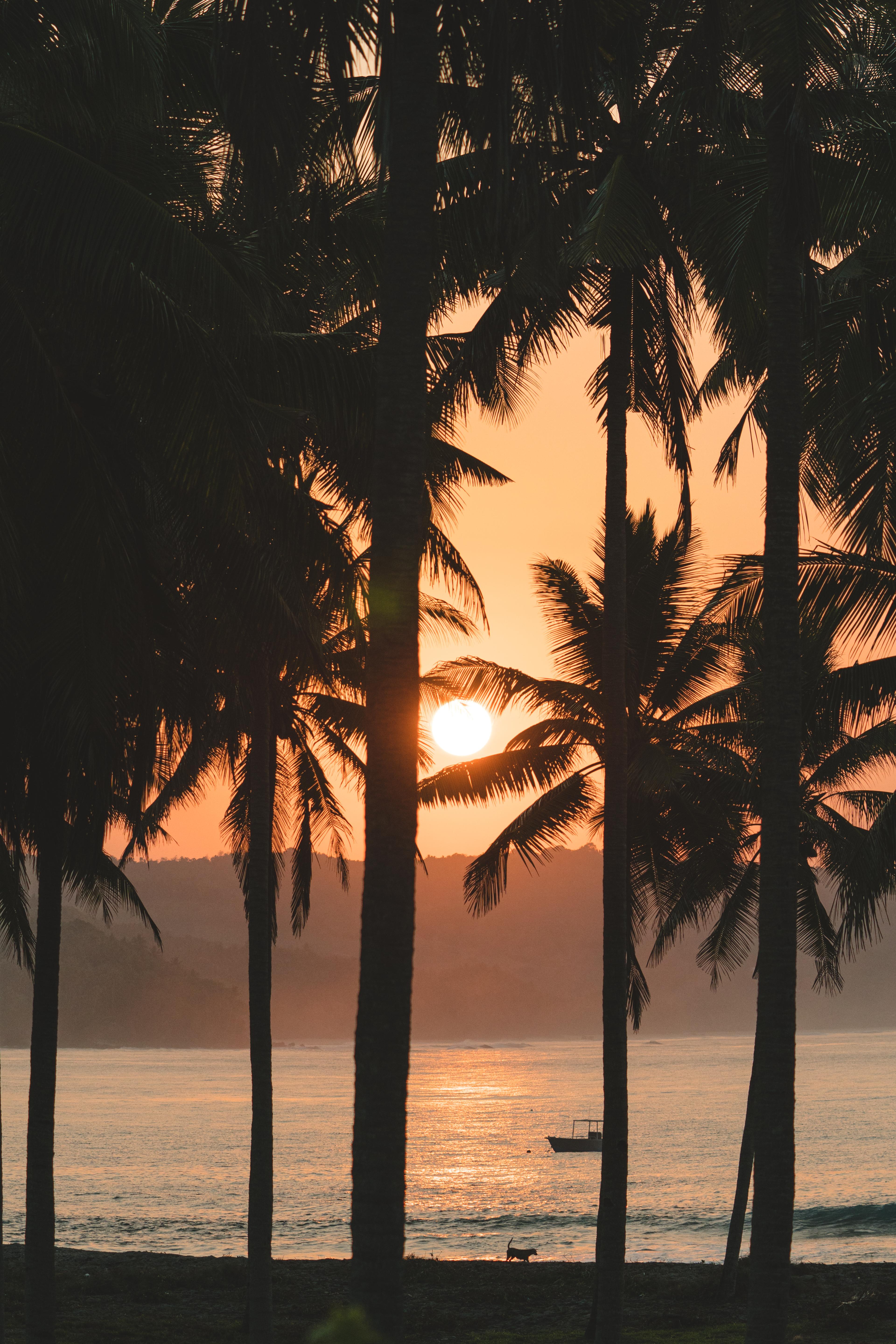 Cozy bungalow accommodation